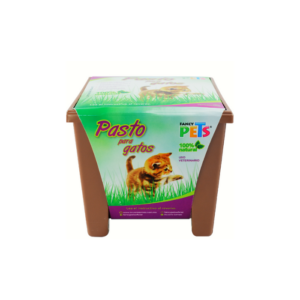 Pasto p/gatos
