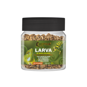 Reptila larva de mosca