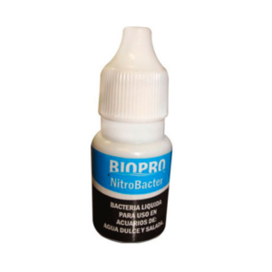 Bacteria 10 ML.(1 Pza)
