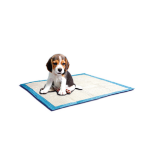 SP-3808 Almohadillas entrenadoras importadas ultra-absorbentes c/6capas y adhesivo antiderrapante (8pcs) 58x58cm