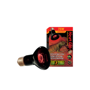 Hpt2142 Foco Heat Glo Exo-Terra 75 W